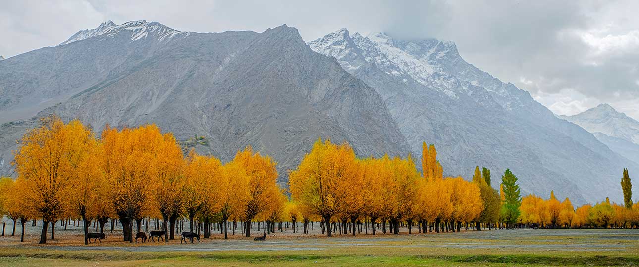 Autumn Splendour In <br>The Mountain Valleys